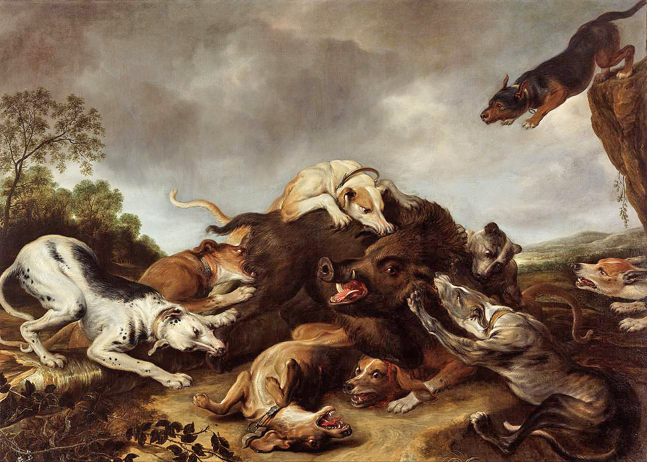 boar hunt